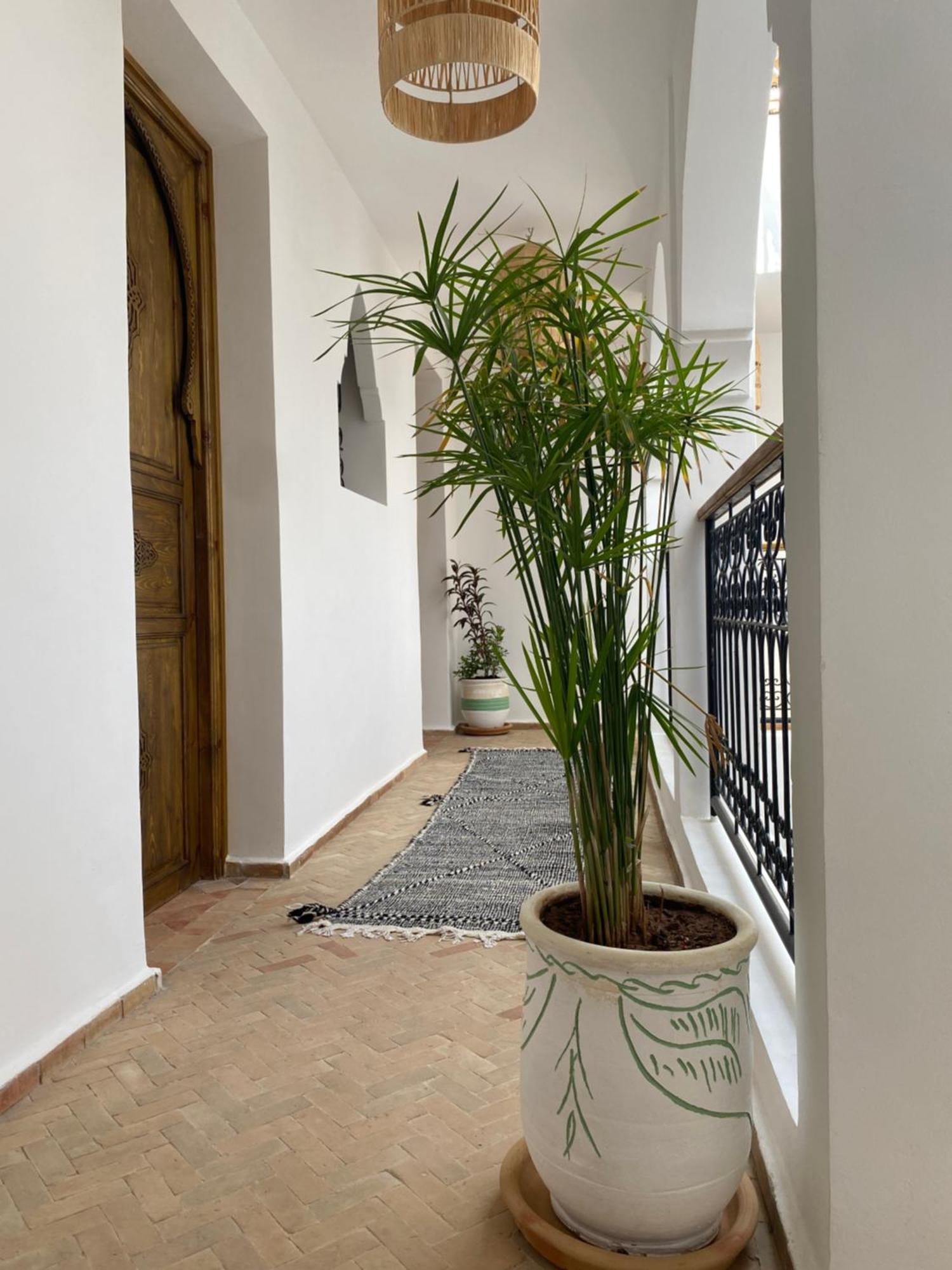 Riad & Spa Sous Le Soleil Chez Jerome Et Pamela Ch Zen Marakéš Exteriér fotografie